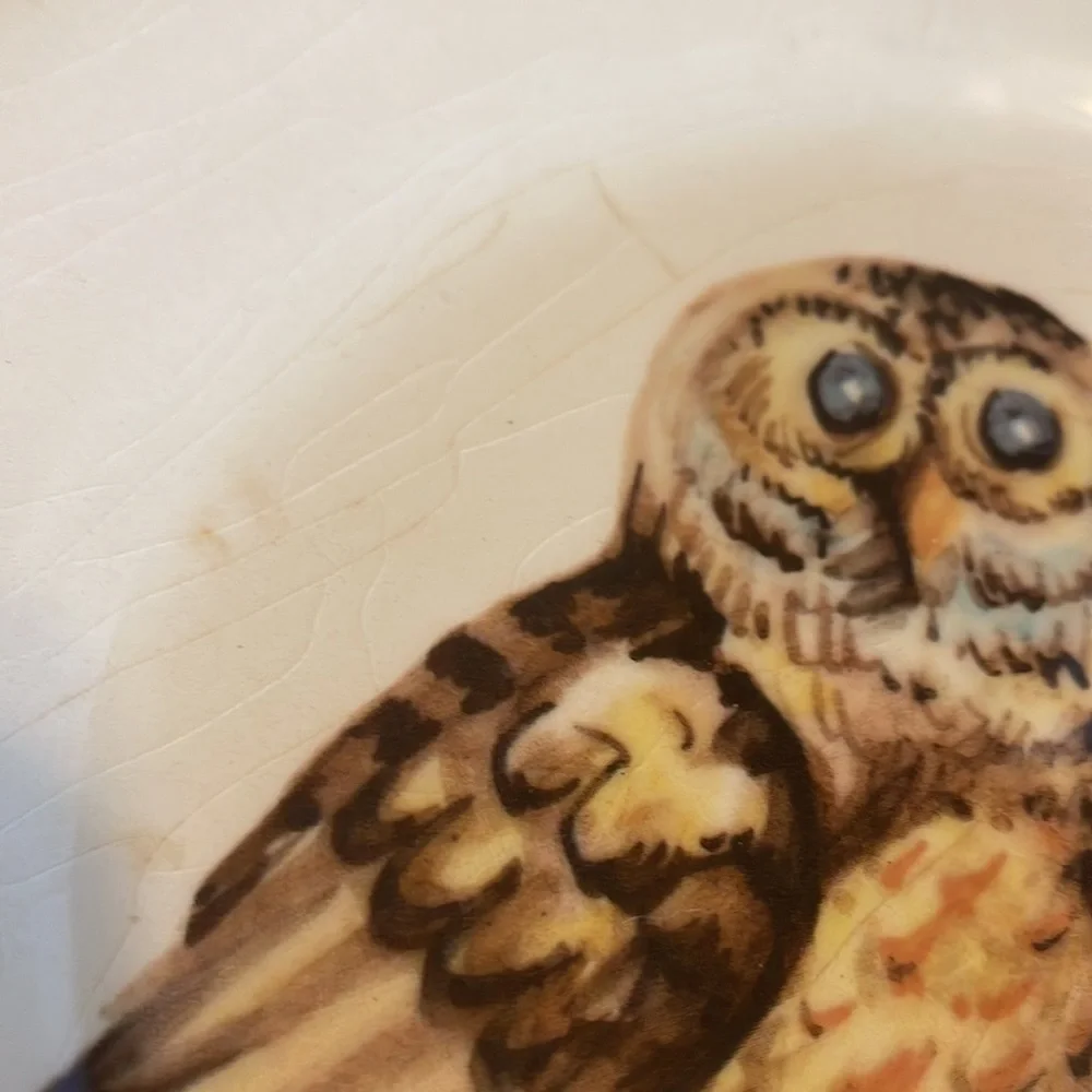 Vintage style owl salad plates and mugs